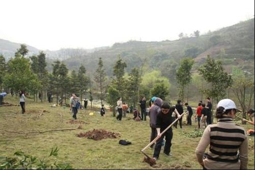 栽樹五大誤區(qū)，您中招了嗎？