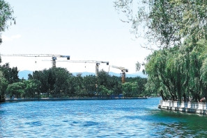 湖北凱蒂園林分享十種超耐寒的開花植物，不怕凍傷！ 