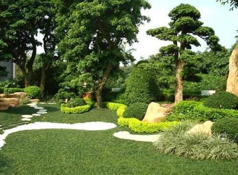 技術|開春園林綠化養(yǎng)護重點工作