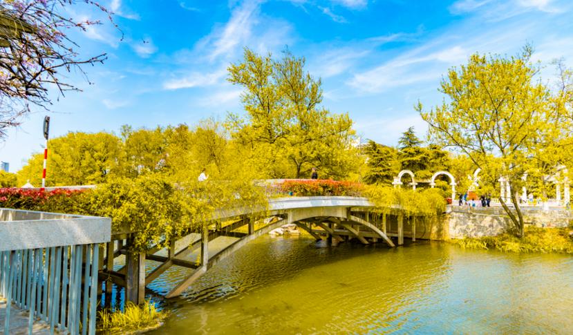 秋季關(guān)于園林綠化養(yǎng)護專業(yè)知識 ，你知道多少？