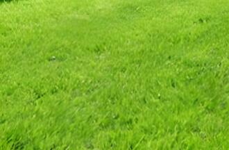 依其用途，草坪可分為幾類呢？